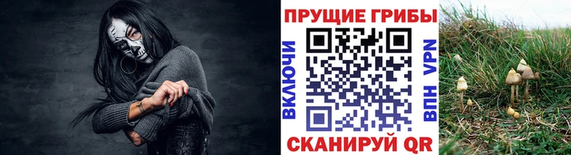 KRAKEN ТОР  магазин продажи наркотиков  Бабушкин  Галлюциногенные грибы мухоморы 